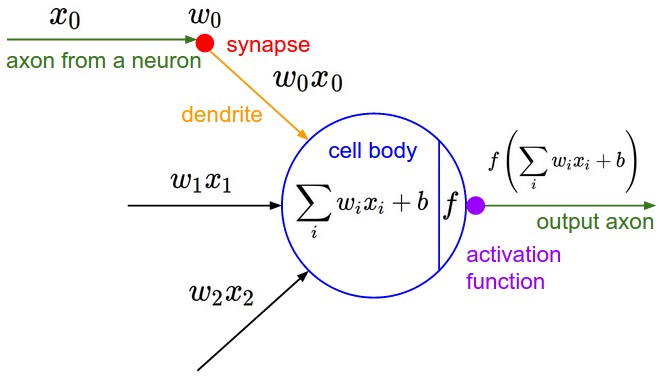 neuron_model